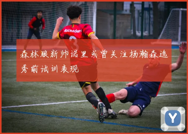 森林狼新帅诺里或曾关注杨瀚森选秀前试训表现
